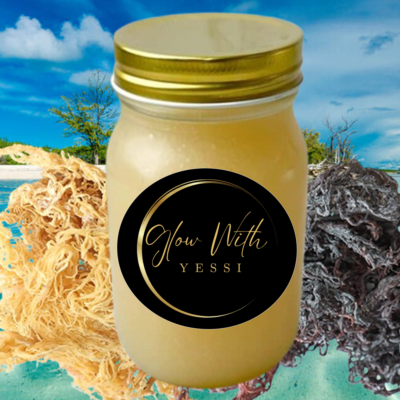 Sea Moss Gel (Unflavored)